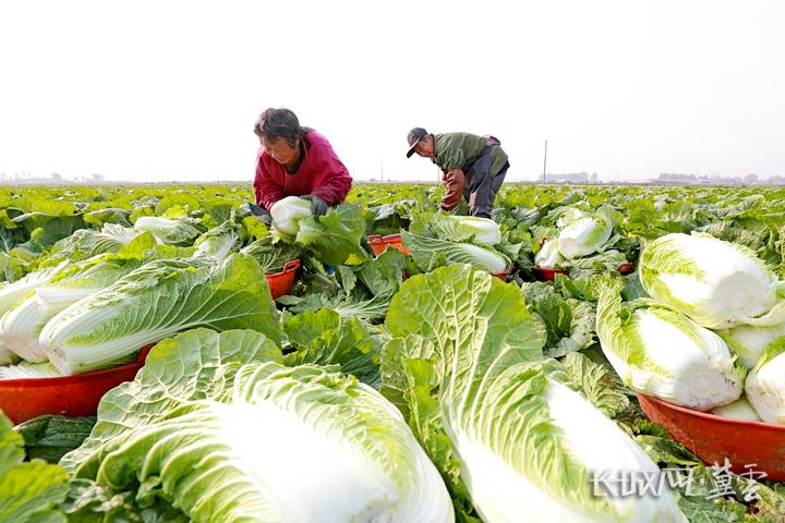 图4.jpg